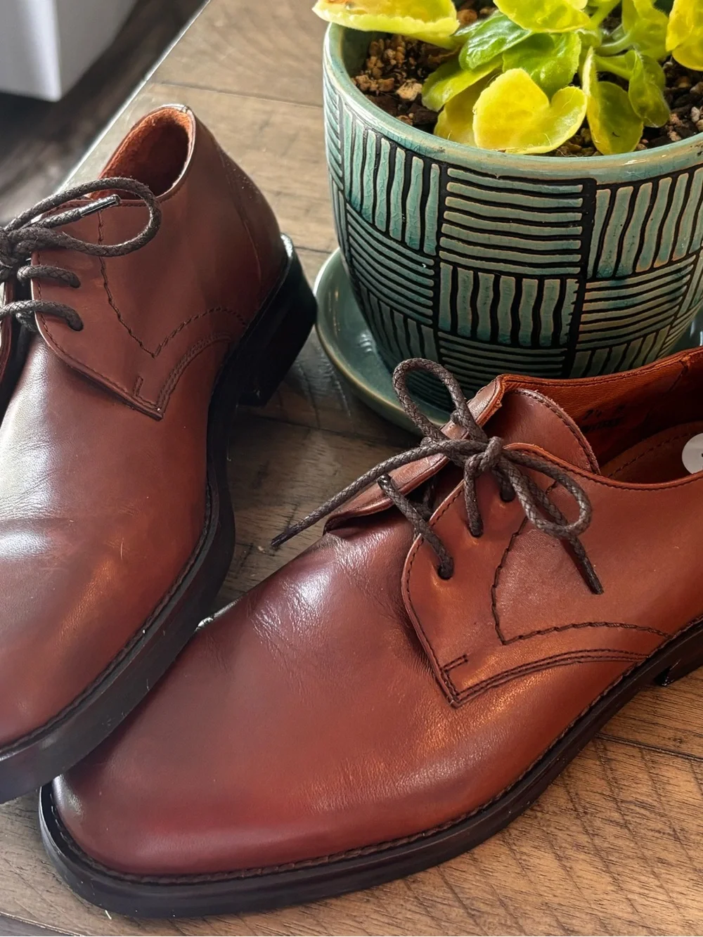 Coach Men’s Brown Leather lace up shoes new without tag 7.5